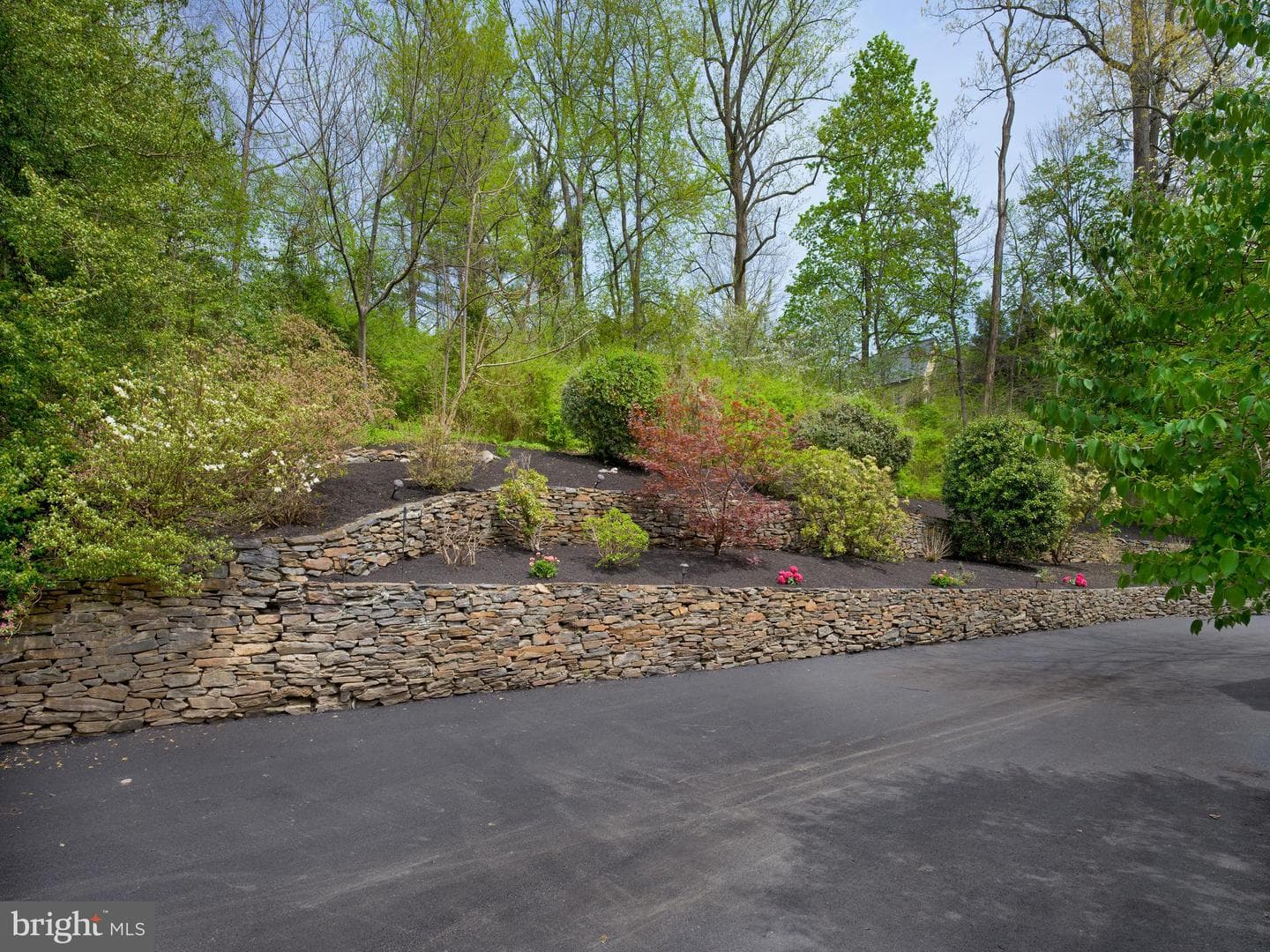 415 Dove Lake Road photo 35