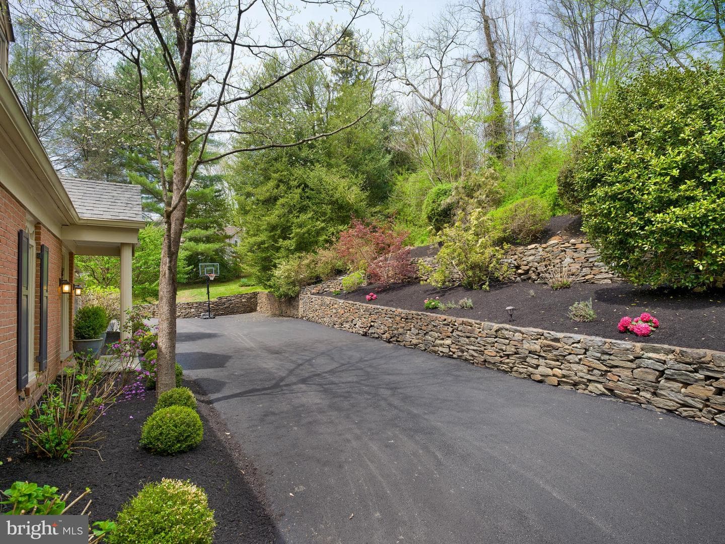 415 Dove Lake Road photo 6