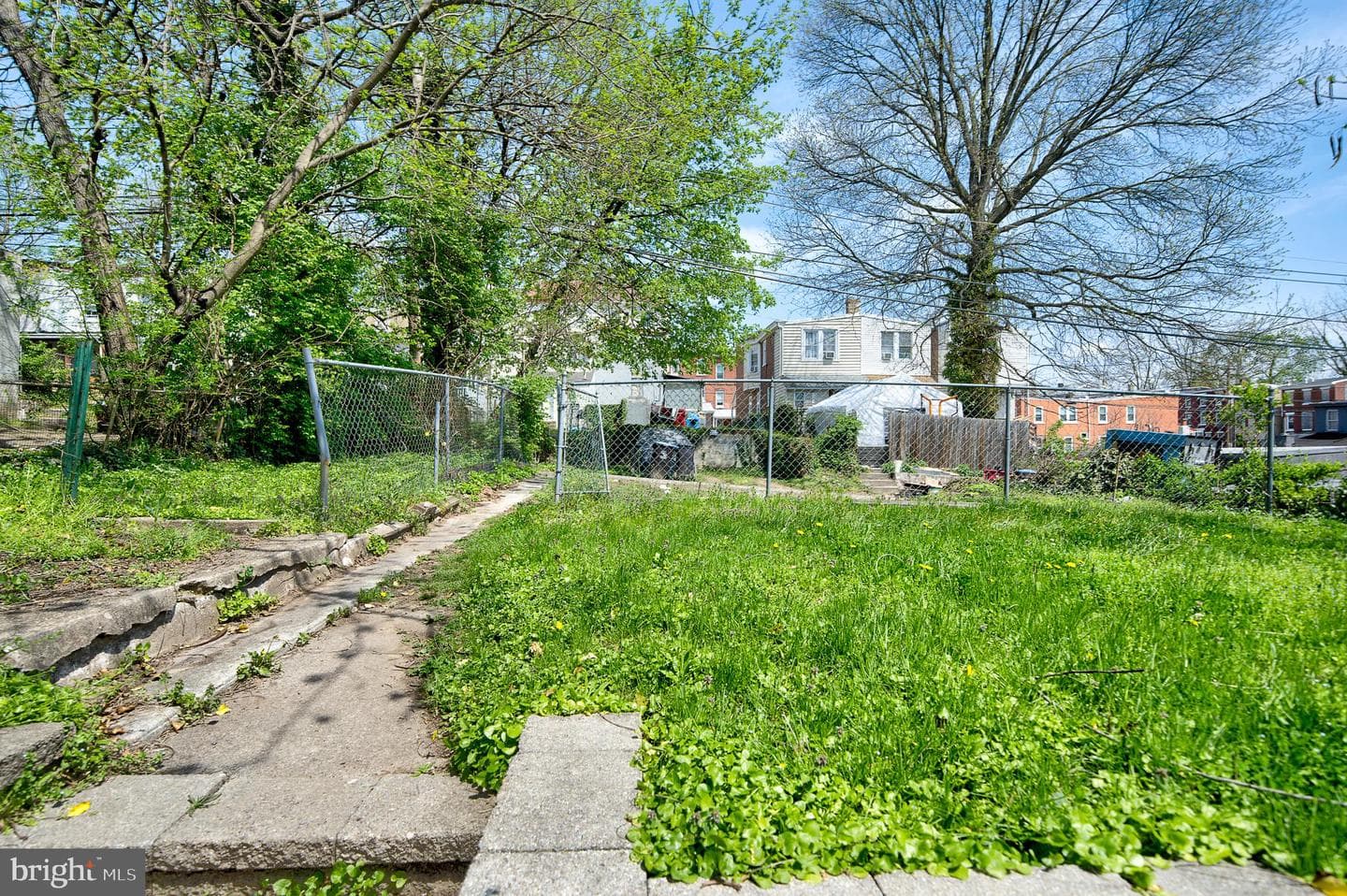 241 Chestnut Street photo 7