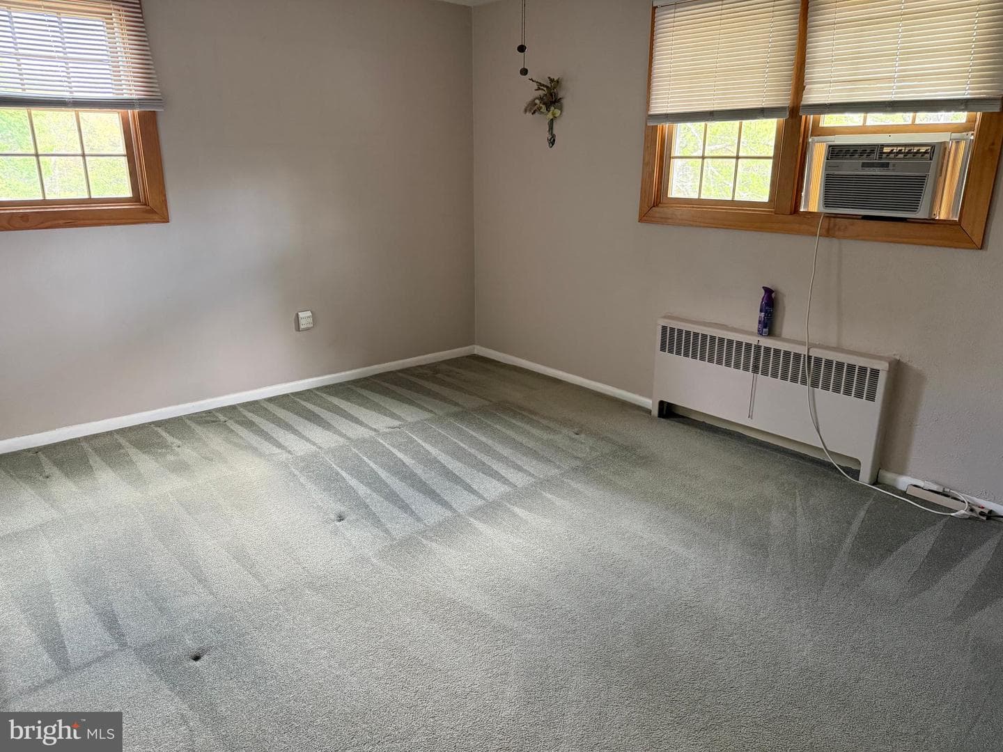 166 Panepinto Drive photo 12