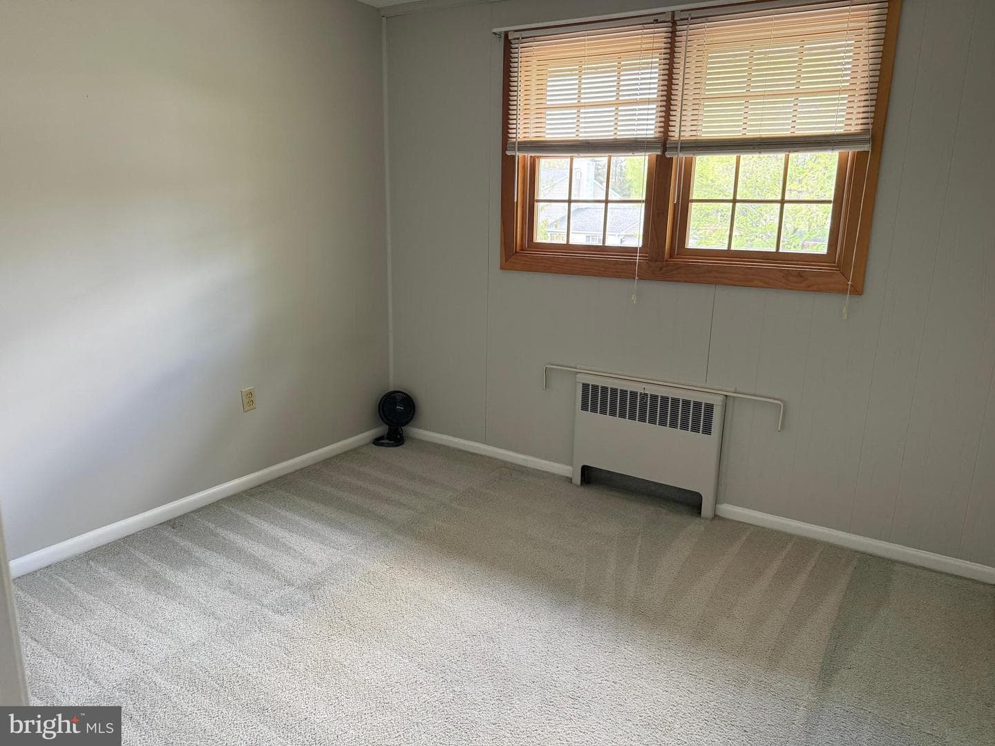 166 Panepinto Drive photo 14