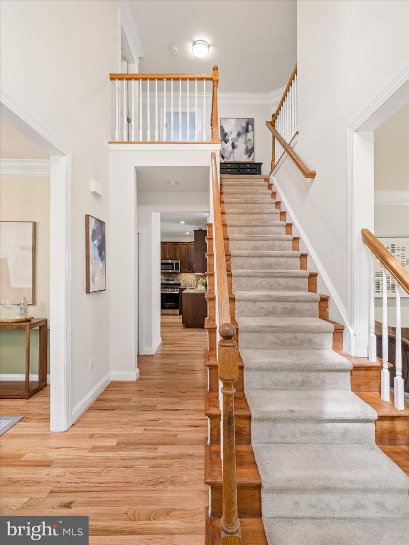 1001 Windsor photo 3