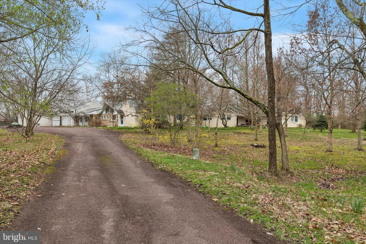 1240 Stump Road photo 2