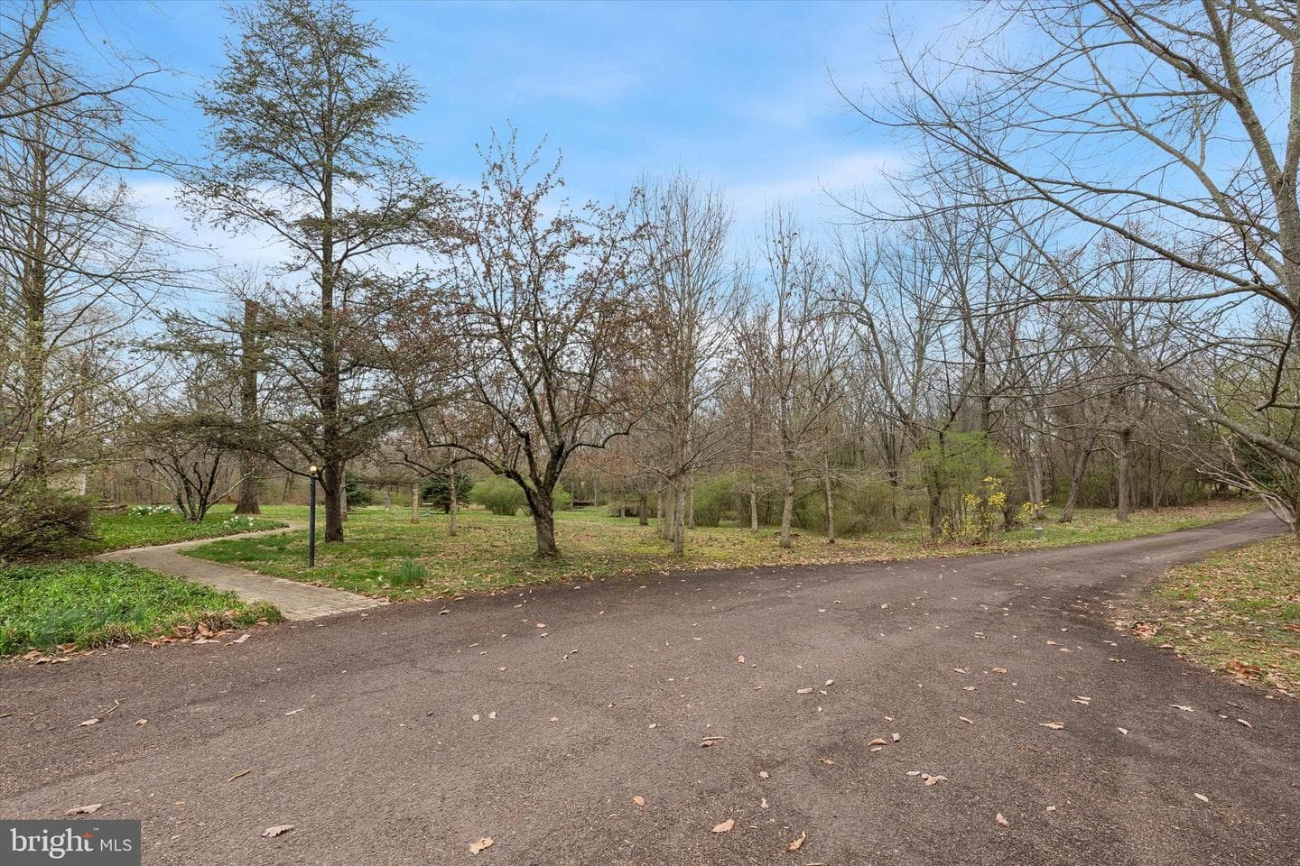 1240 Stump Road photo 5