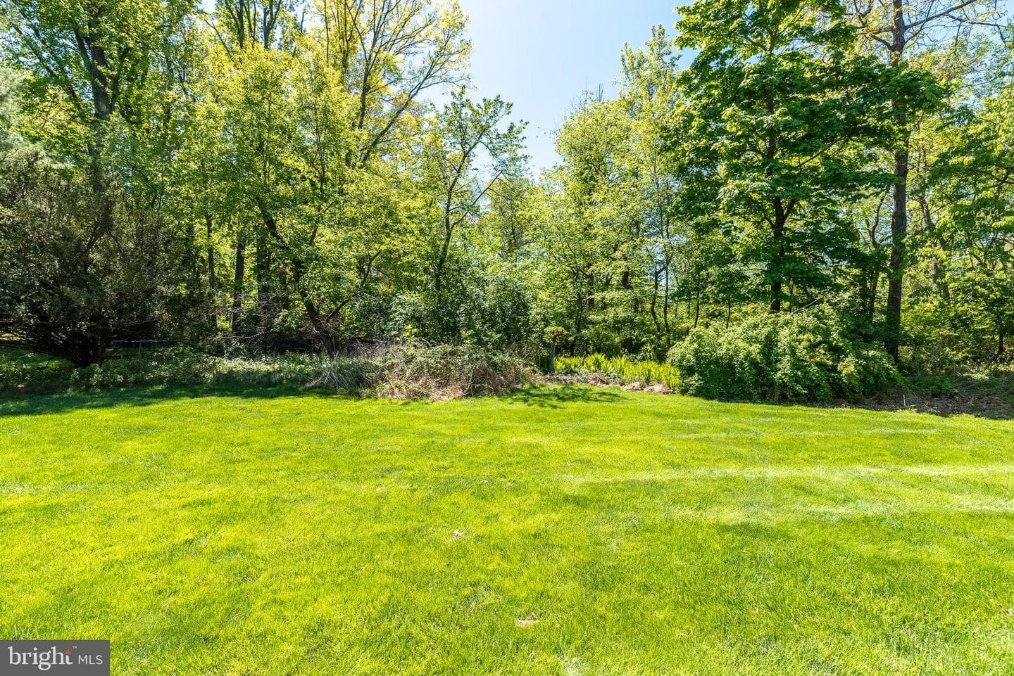 564 Derwin Drive photo 6