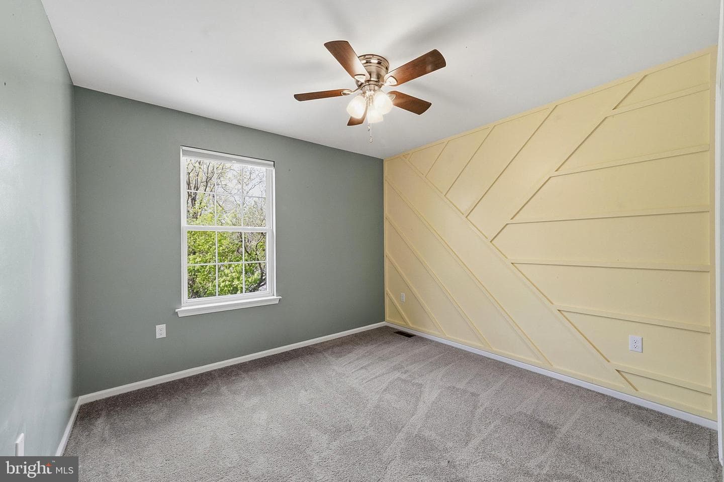 201 Shirley Lane photo 19