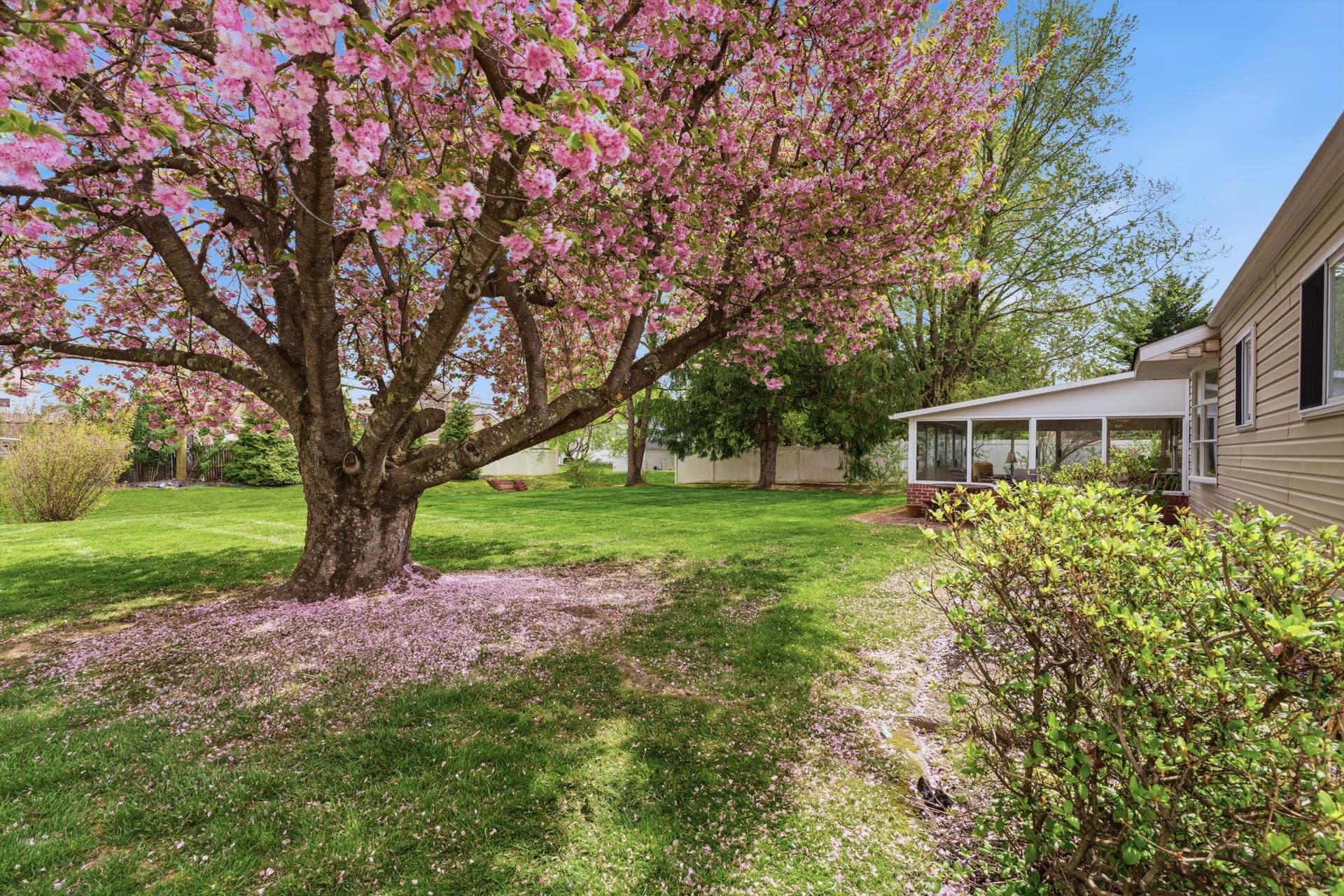 226 Silvestri Drive photo 32