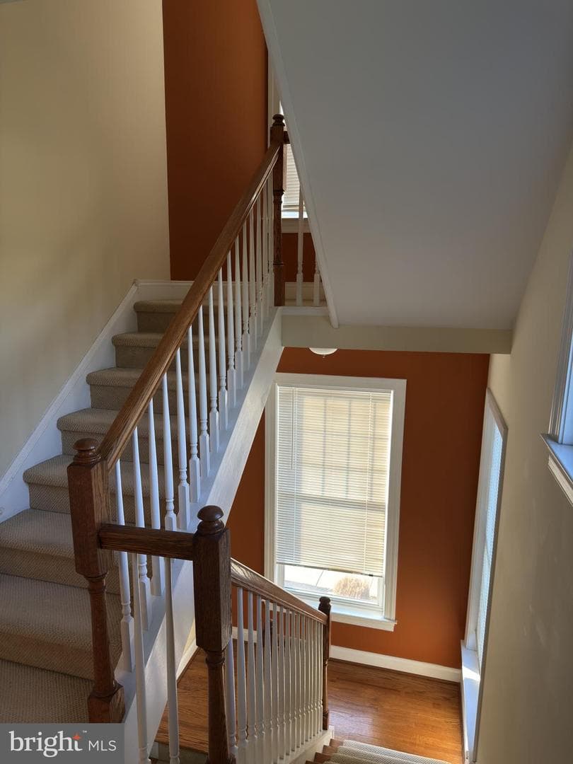211 Holland Avenue photo 25