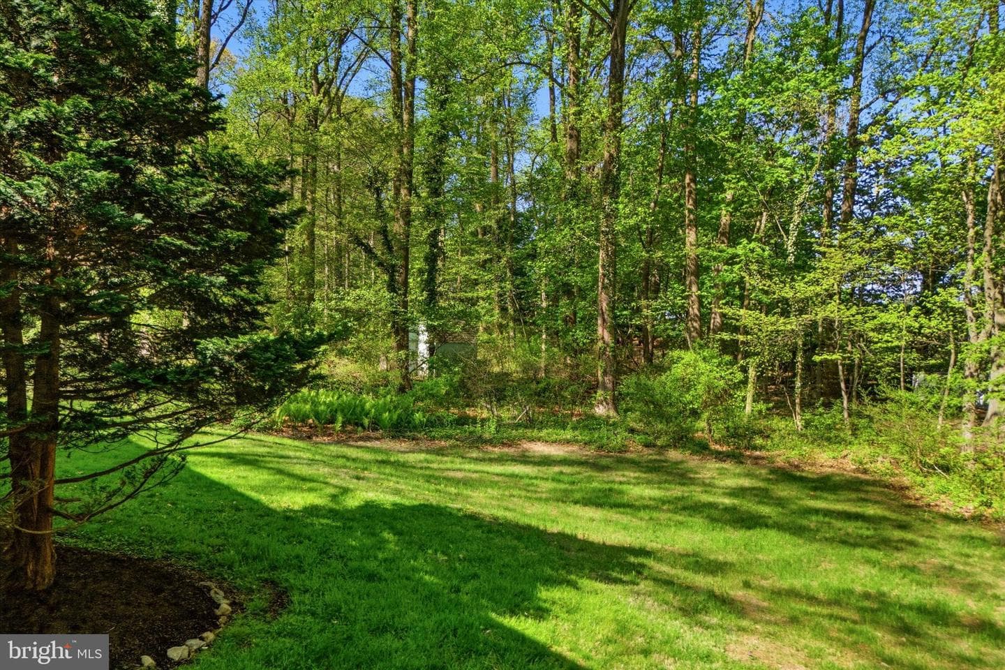 118 Clarrige Drive photo 30
