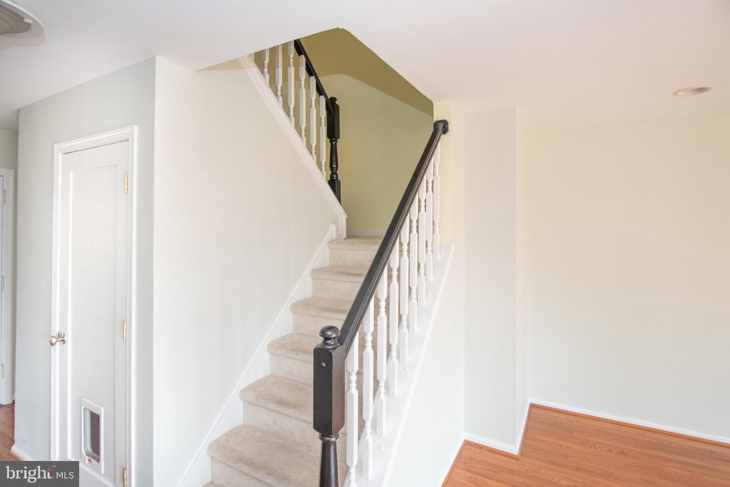 19 Viburnum Court photo 25