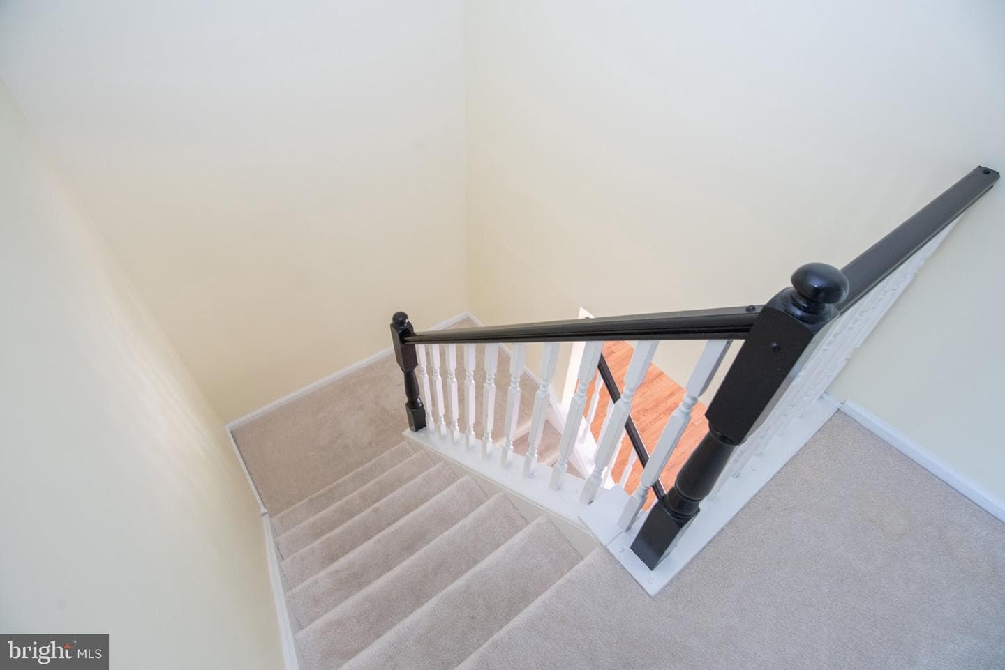 19 Viburnum Court photo 43