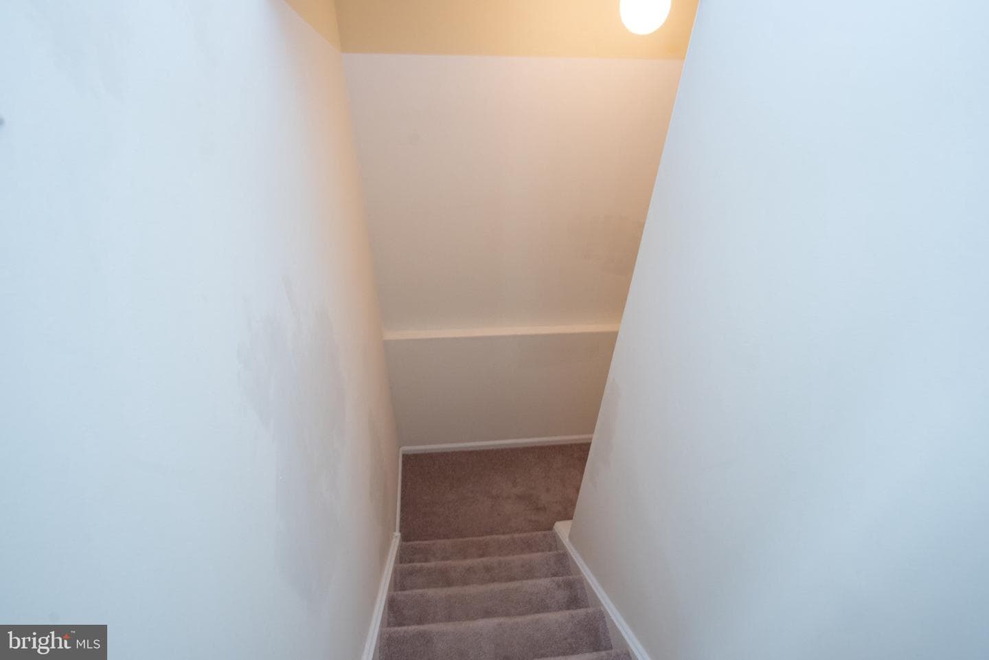 19 Viburnum Court photo 45