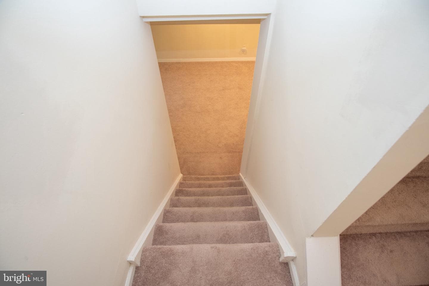 19 Viburnum Court photo 46