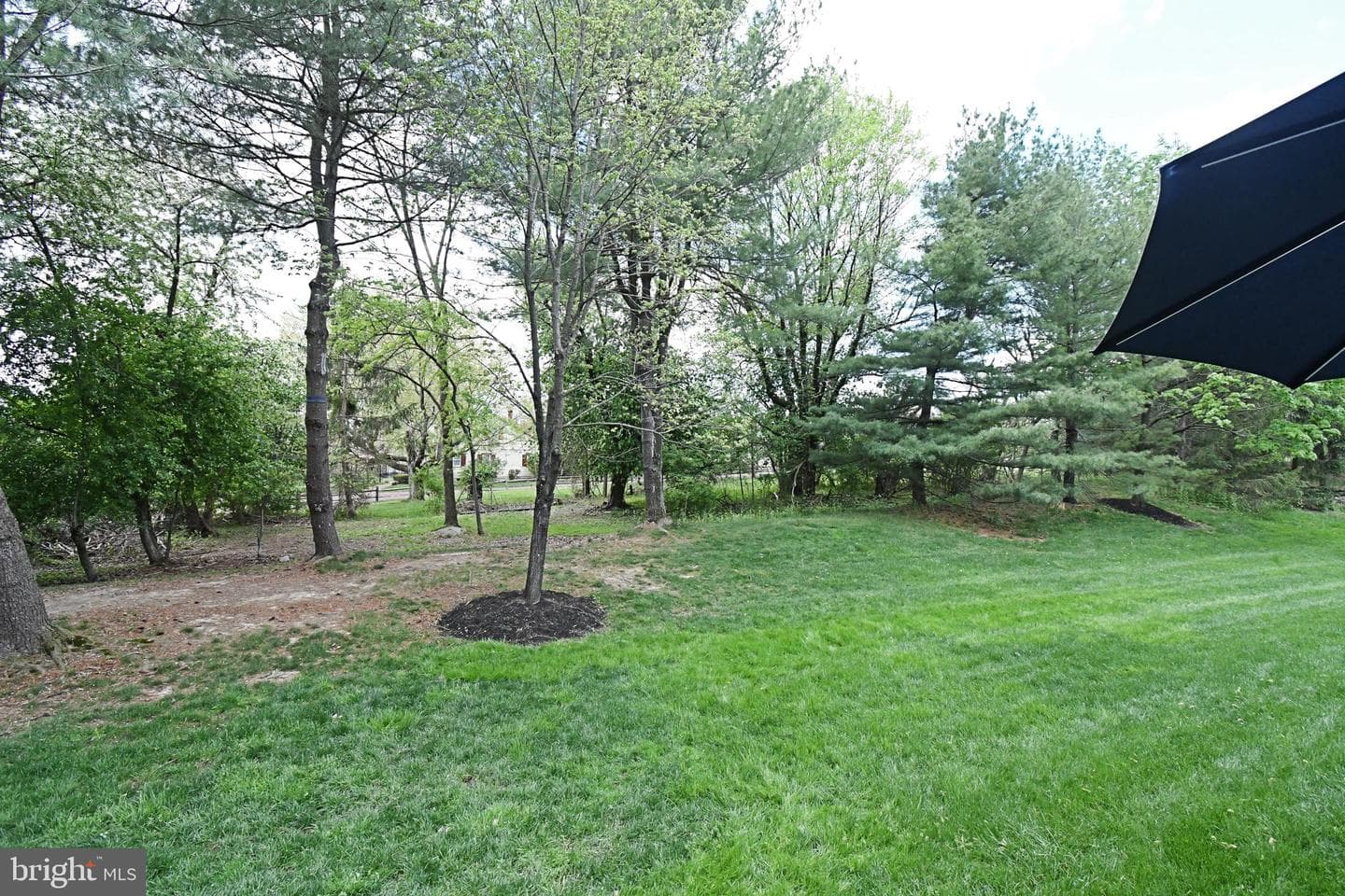 176 Filly Drive photo 50