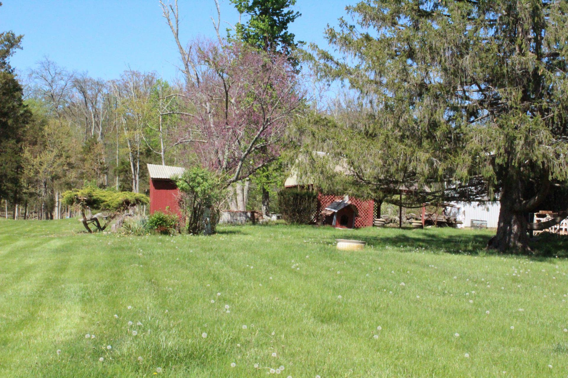 1462 N Gravel Pike photo 27