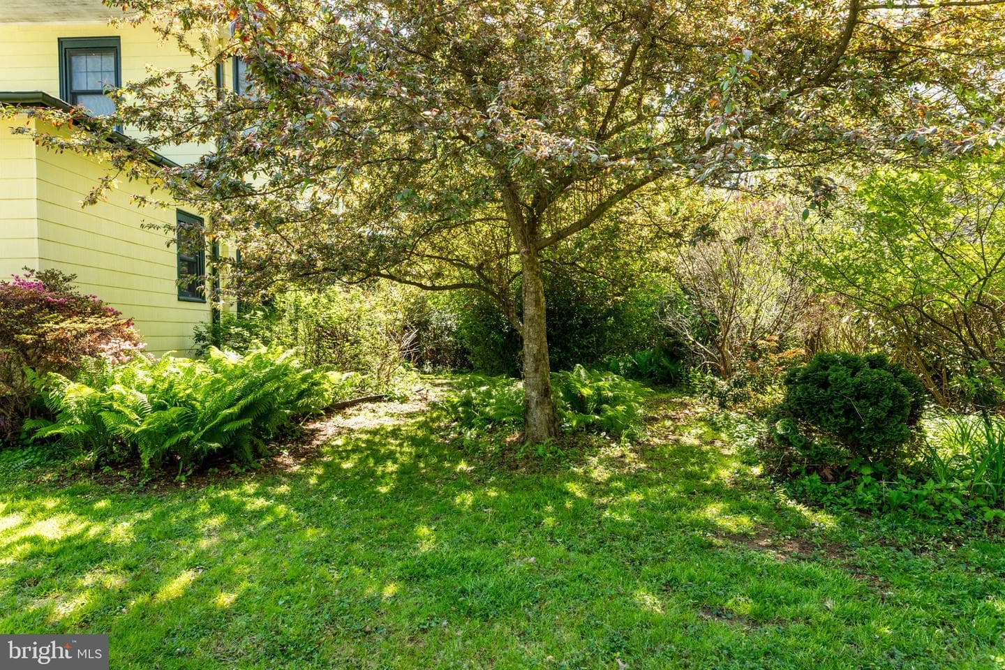 7602 Spring Avenue photo 48