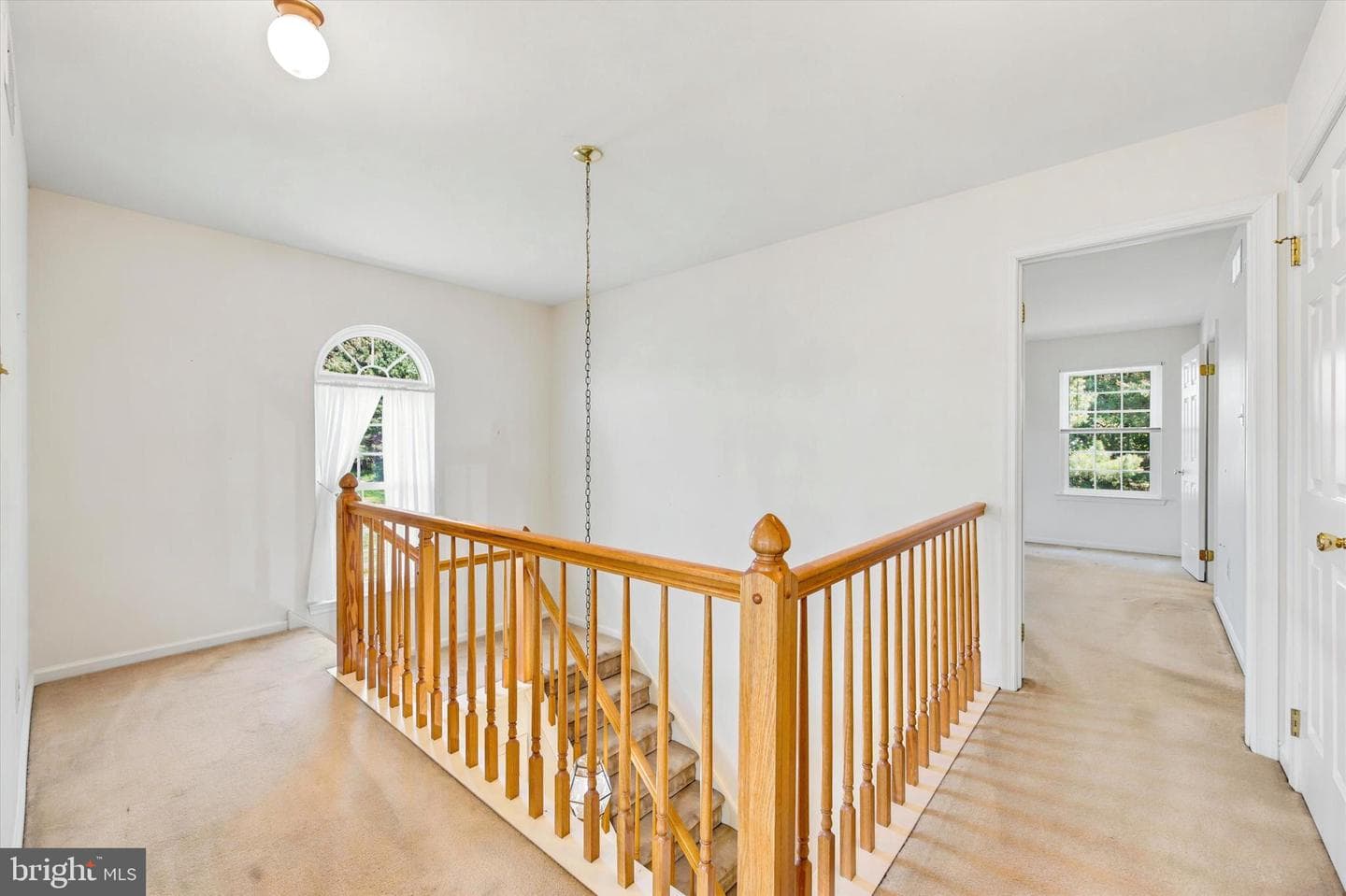 303 Essex Ct photo 17