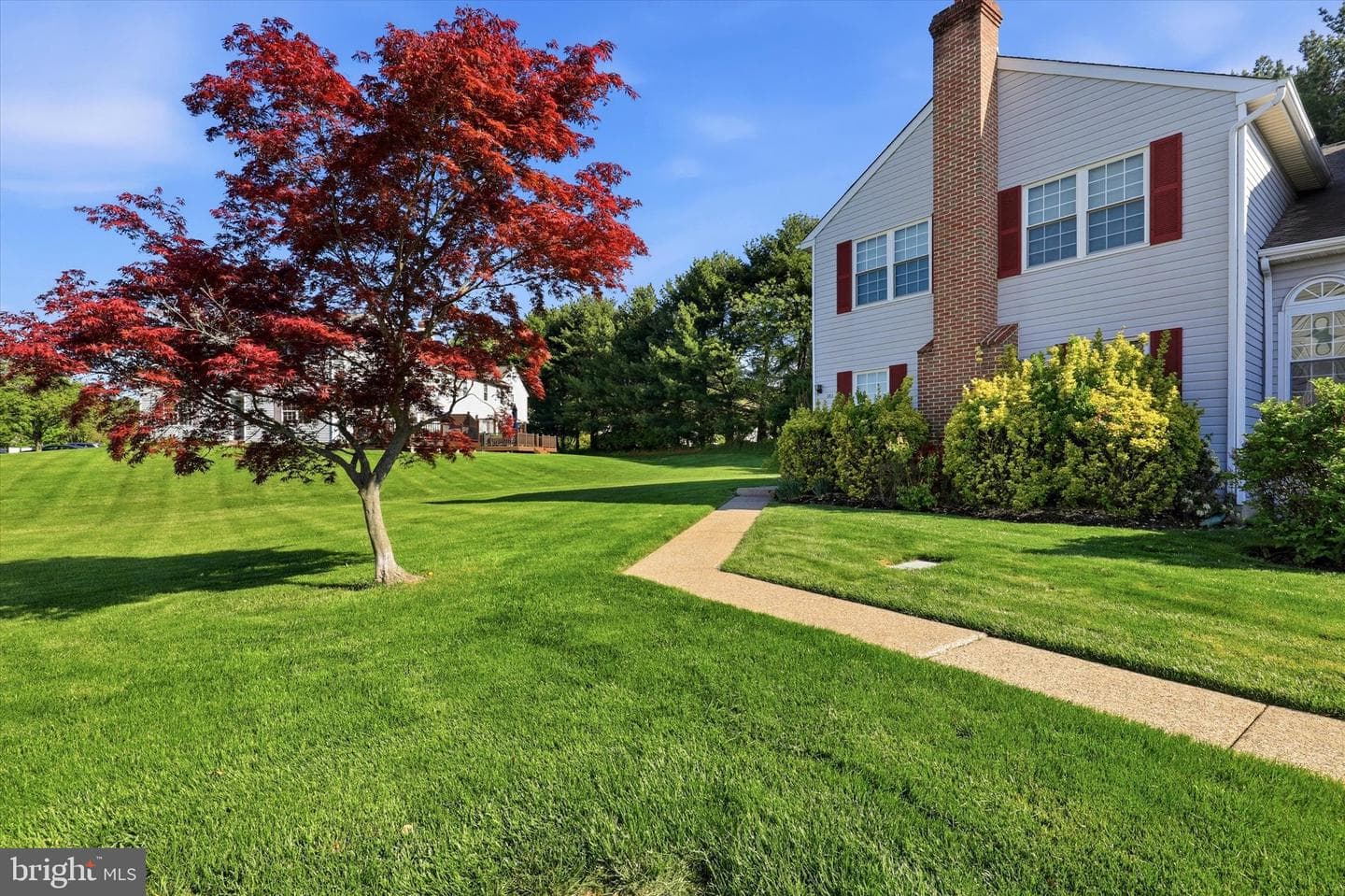303 Essex Ct photo 3