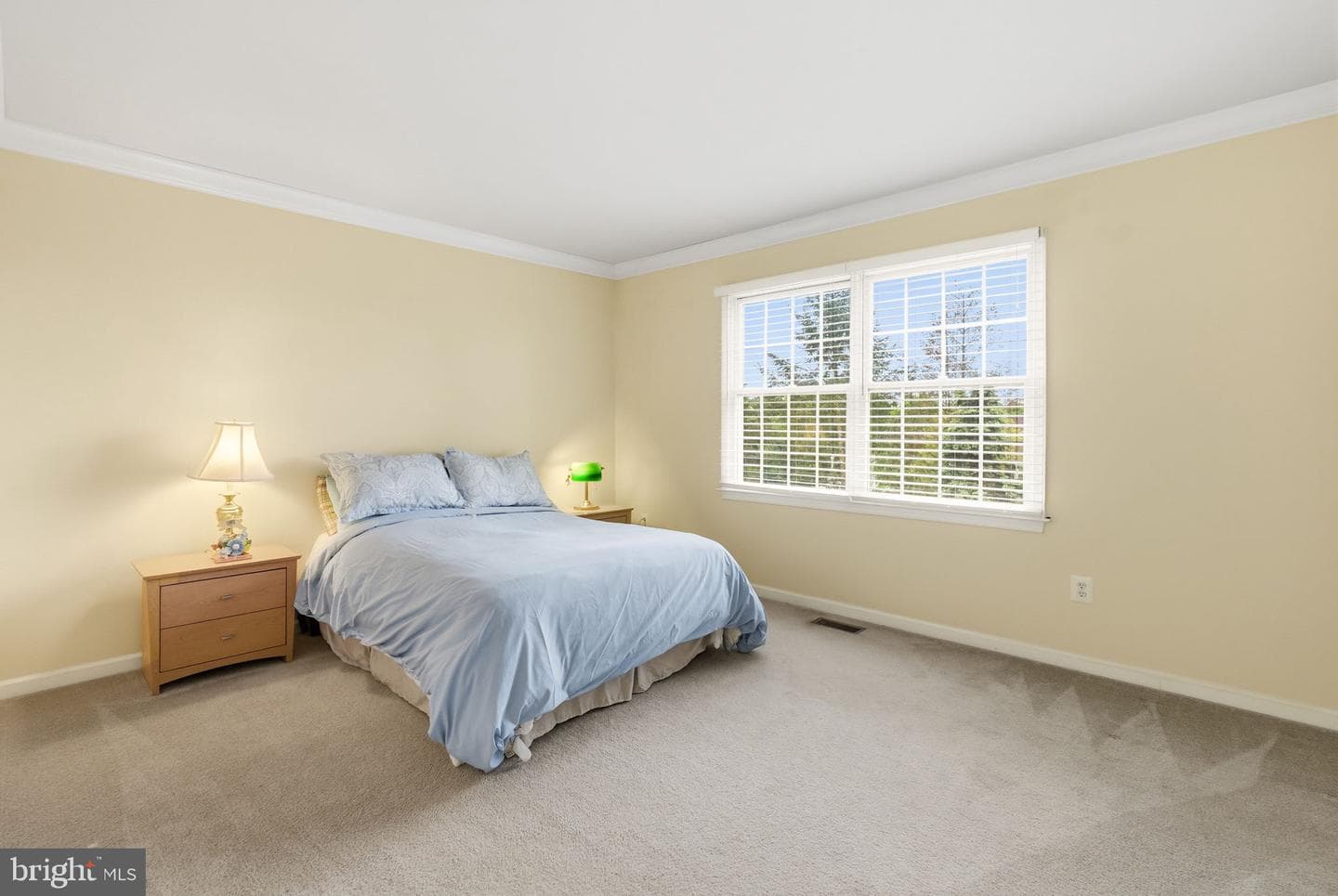 2806 Nighthawk Circle photo 34