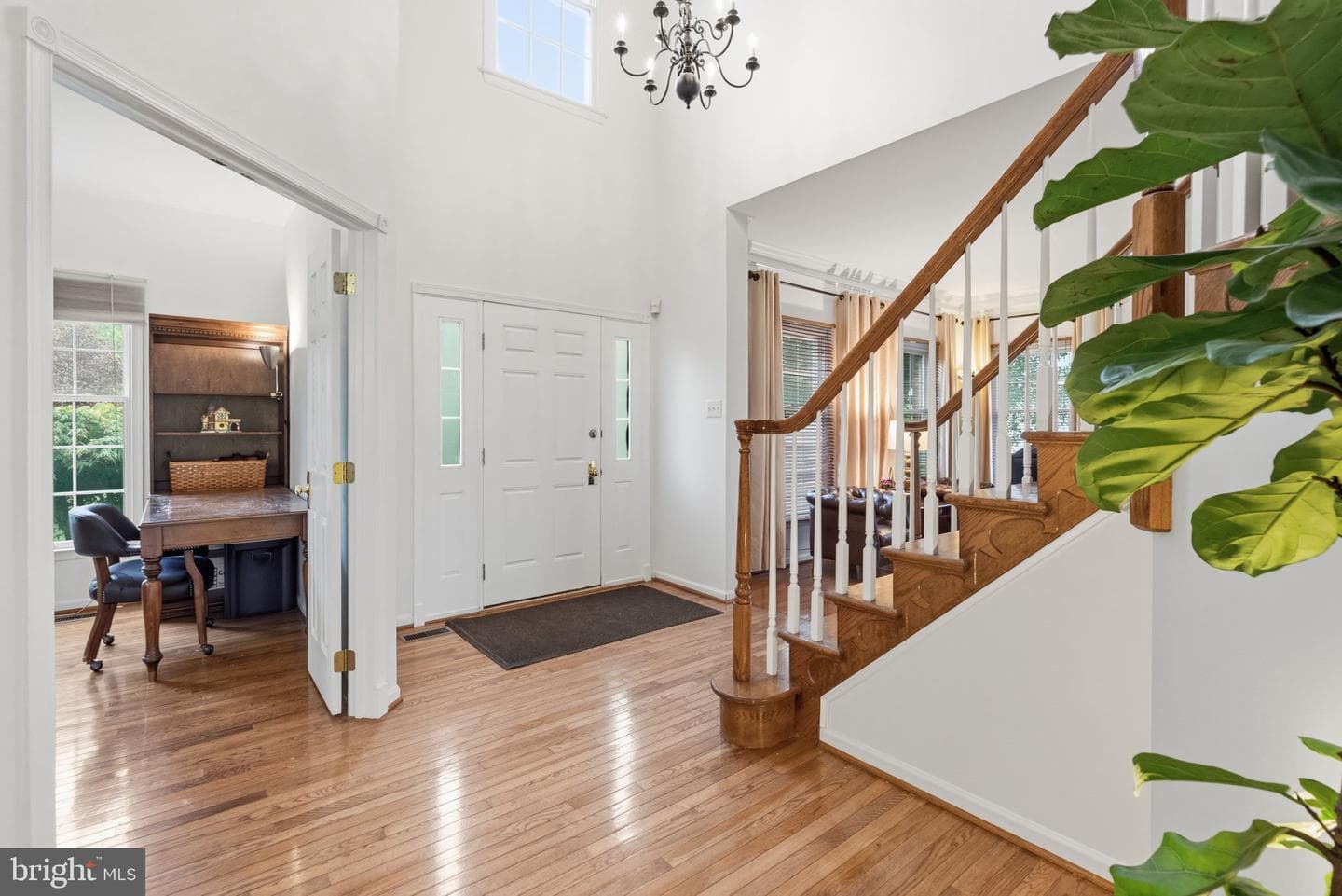 2806 Nighthawk Circle photo 5