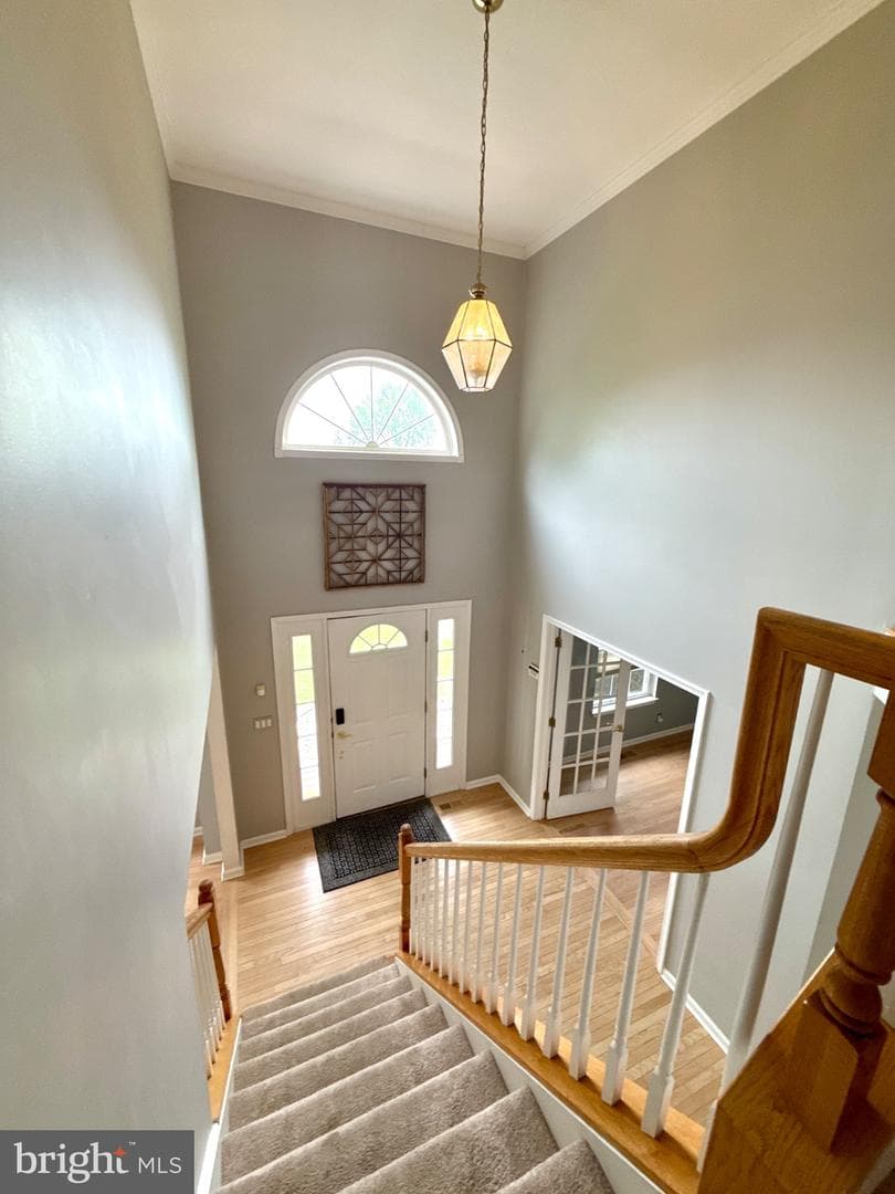 358 Peachtree Drive photo 62