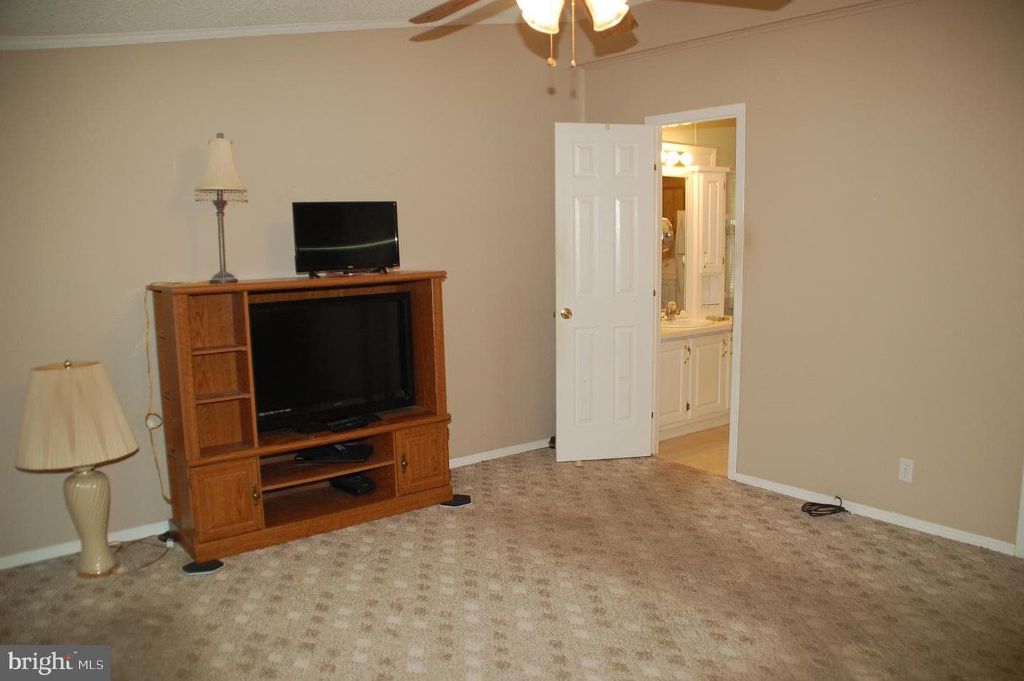 316 Hidden Springs Drive photo 22