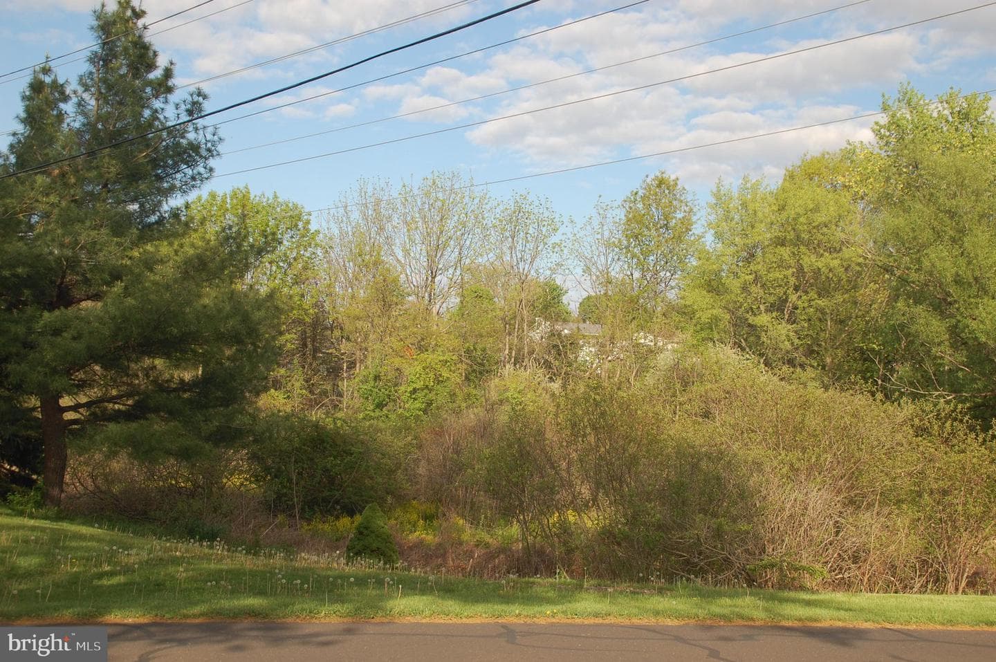 316 Hidden Springs Drive photo 35