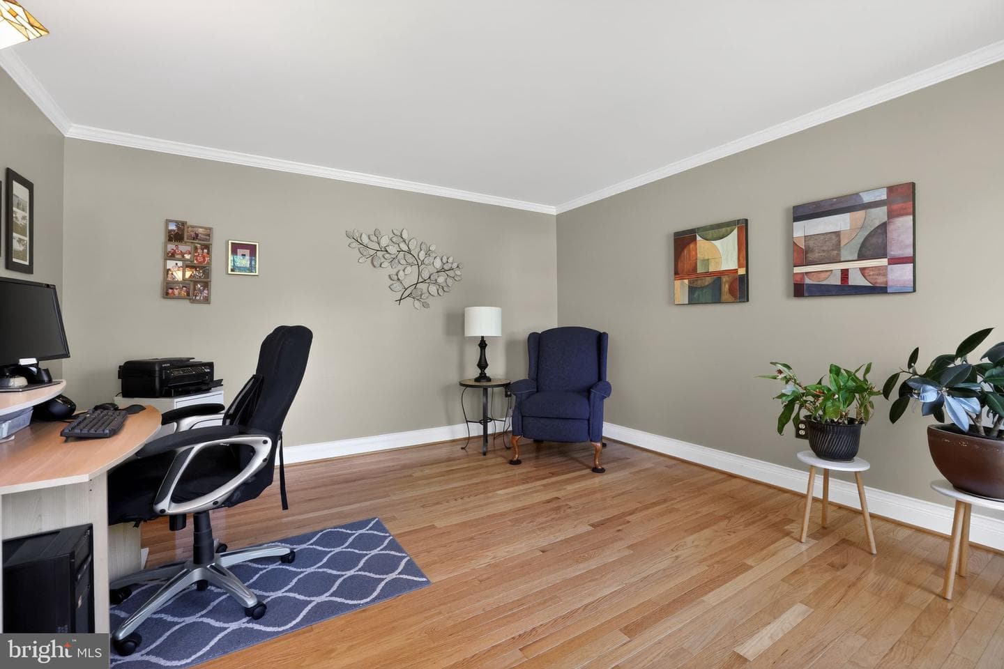 354 Coddington Way photo 10