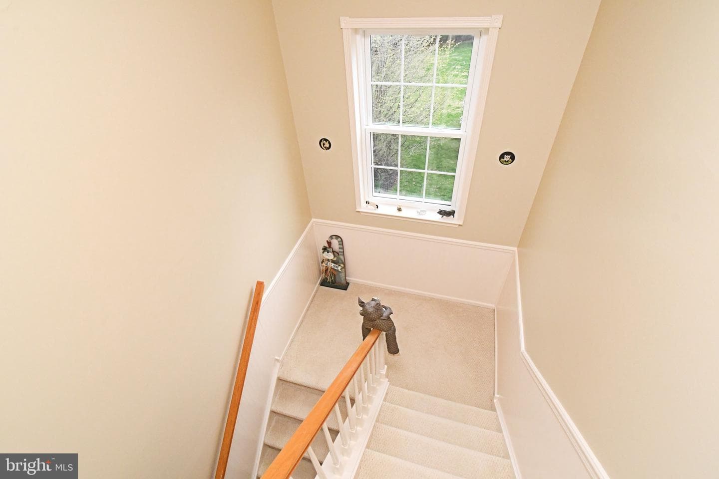3011 Timothy Trail photo 48
