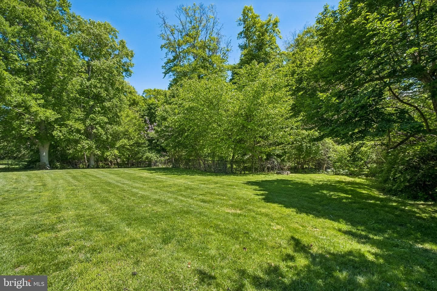 6 Locust Way photo 11