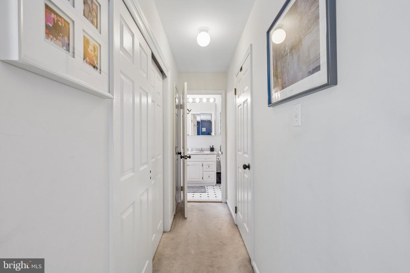 6 Locust Way photo 45