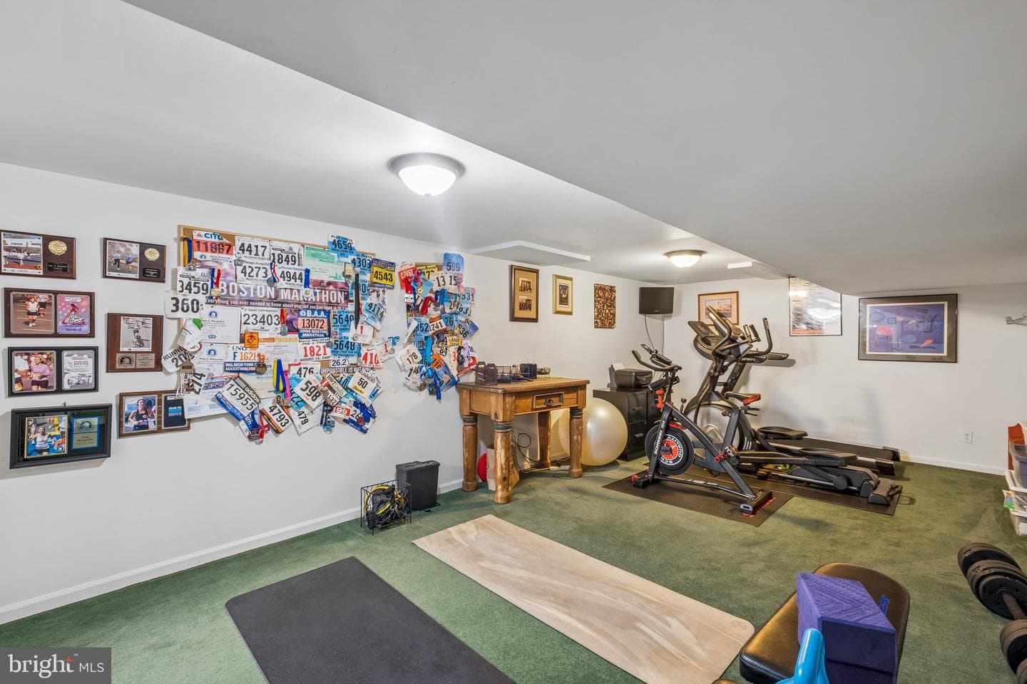 6 Locust Way photo 64