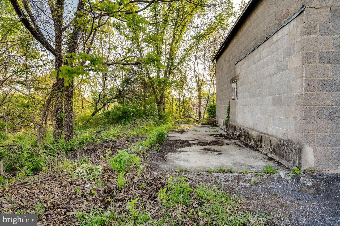 591 Dotts Street photo 51