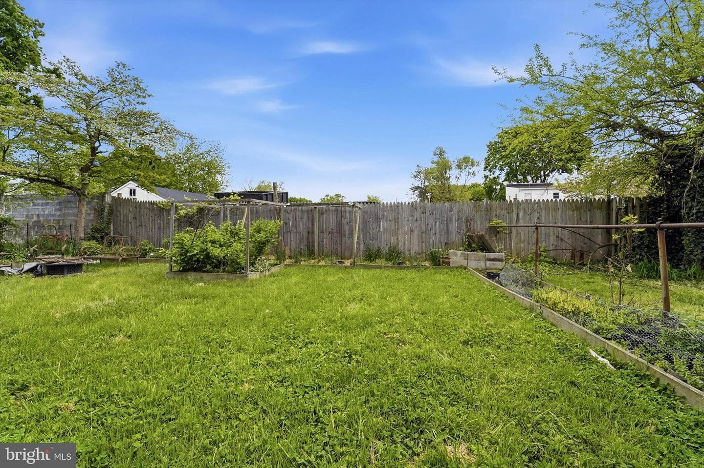 221 Ardmore Avenue photo 5