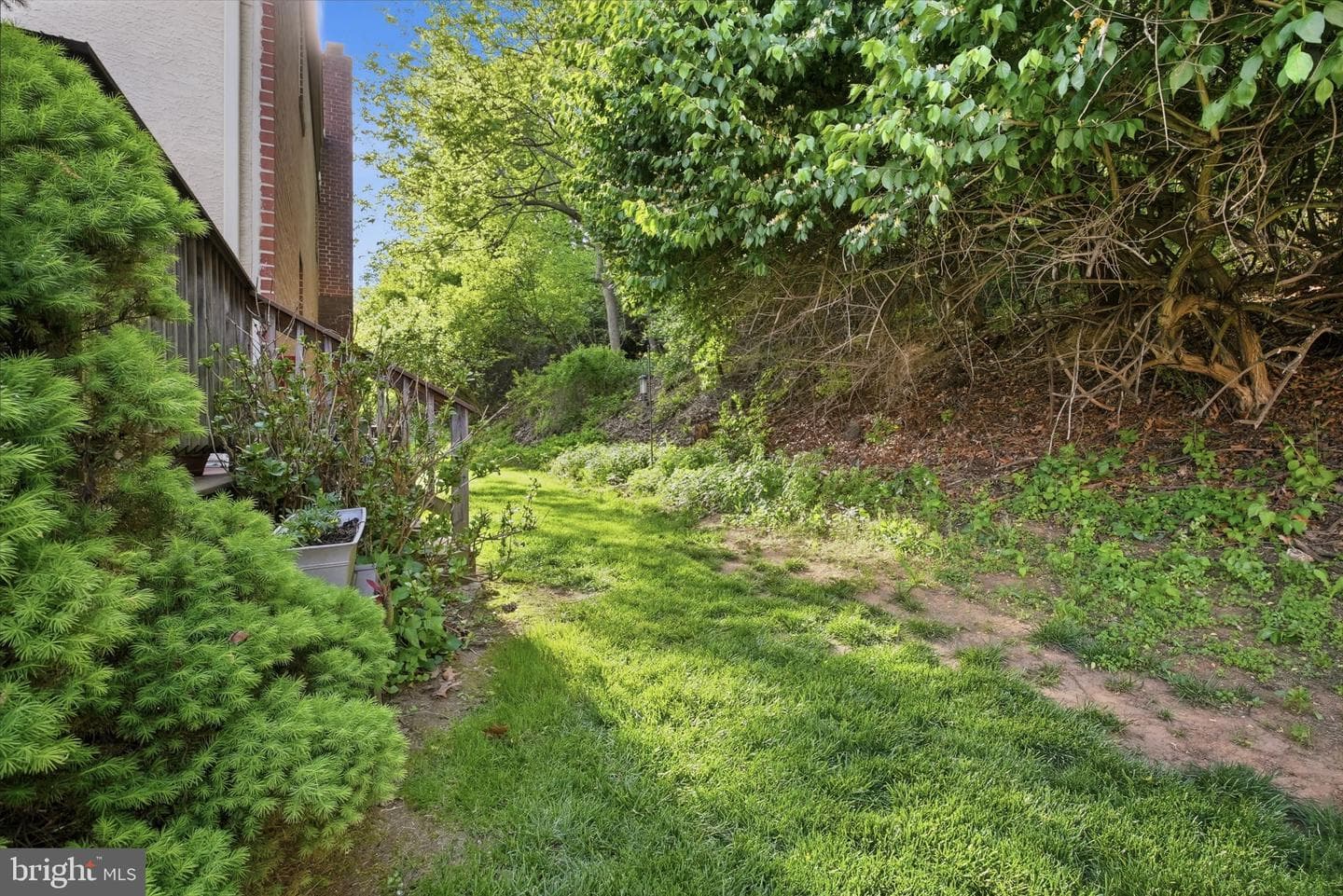 629 Coates Lane photo 42