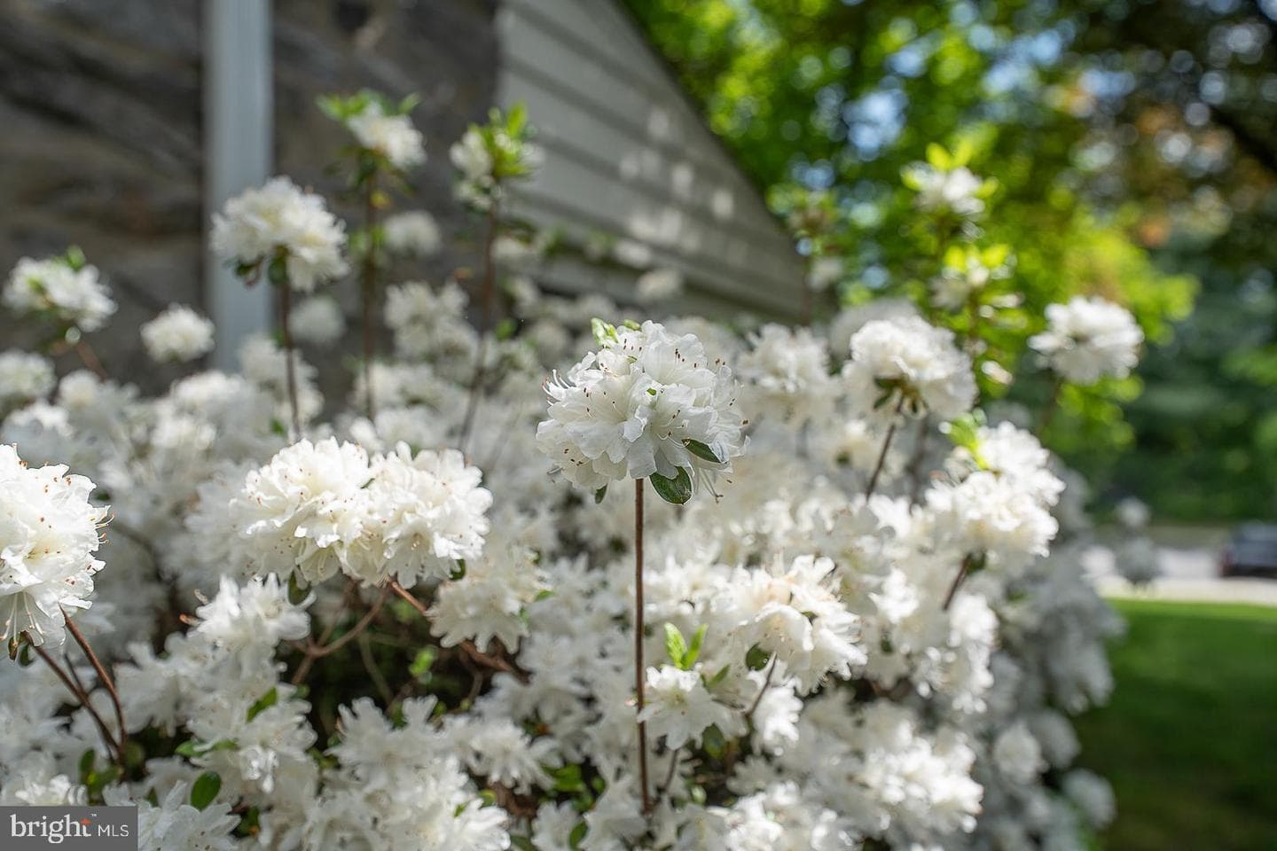 722 Argyle Road photo 10
