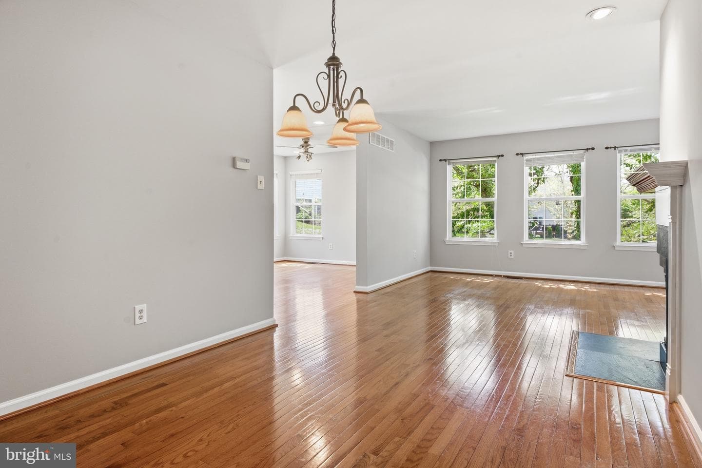 55 Windsor Place photo 18