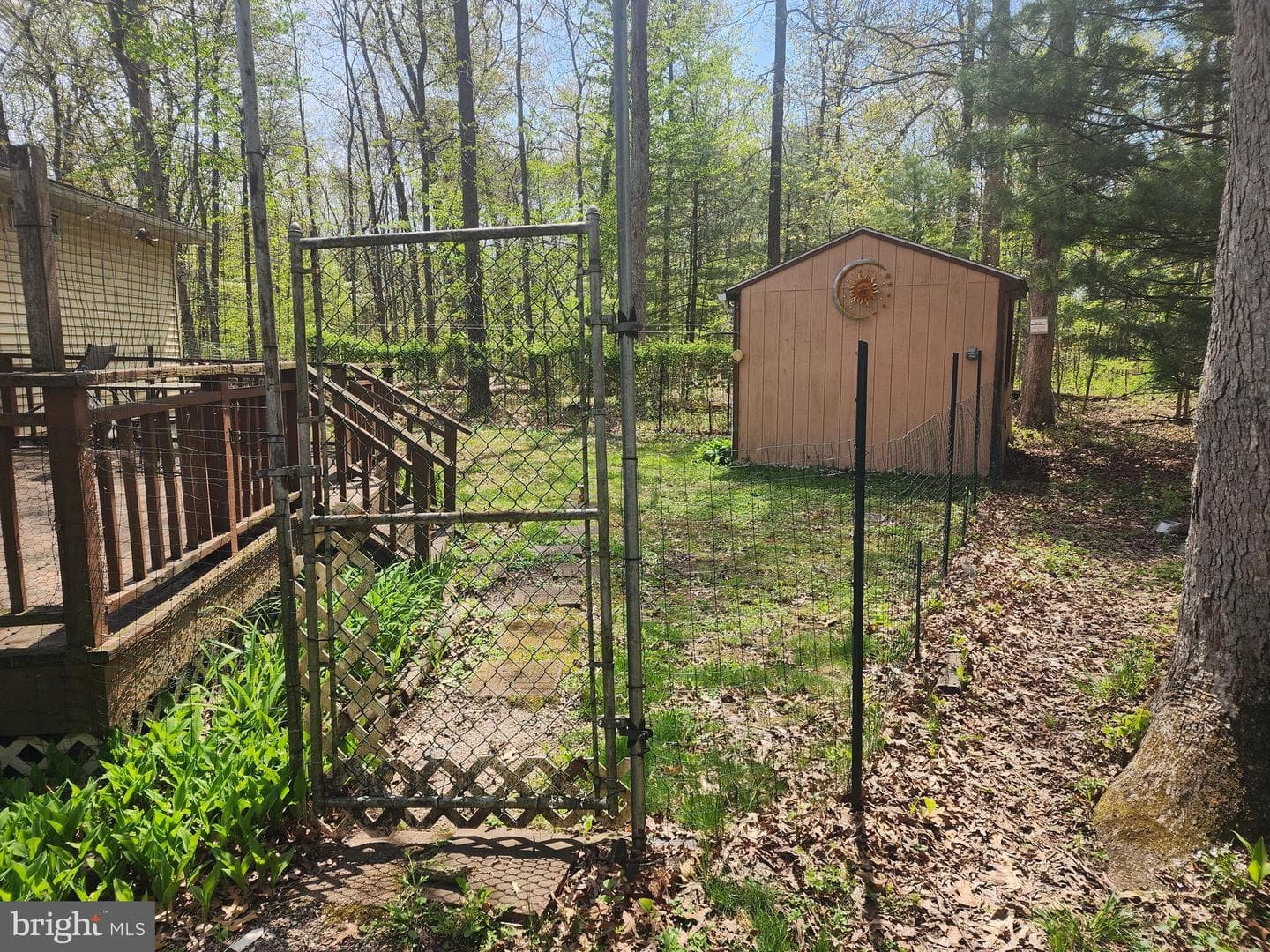 733 Dogwood Drive photo 2