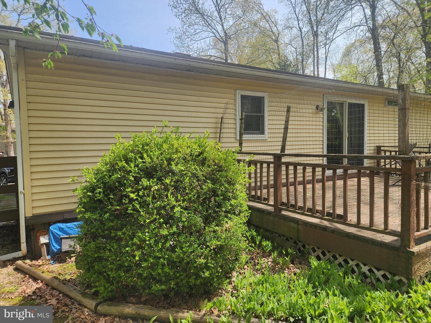 733 Dogwood Drive photo 3