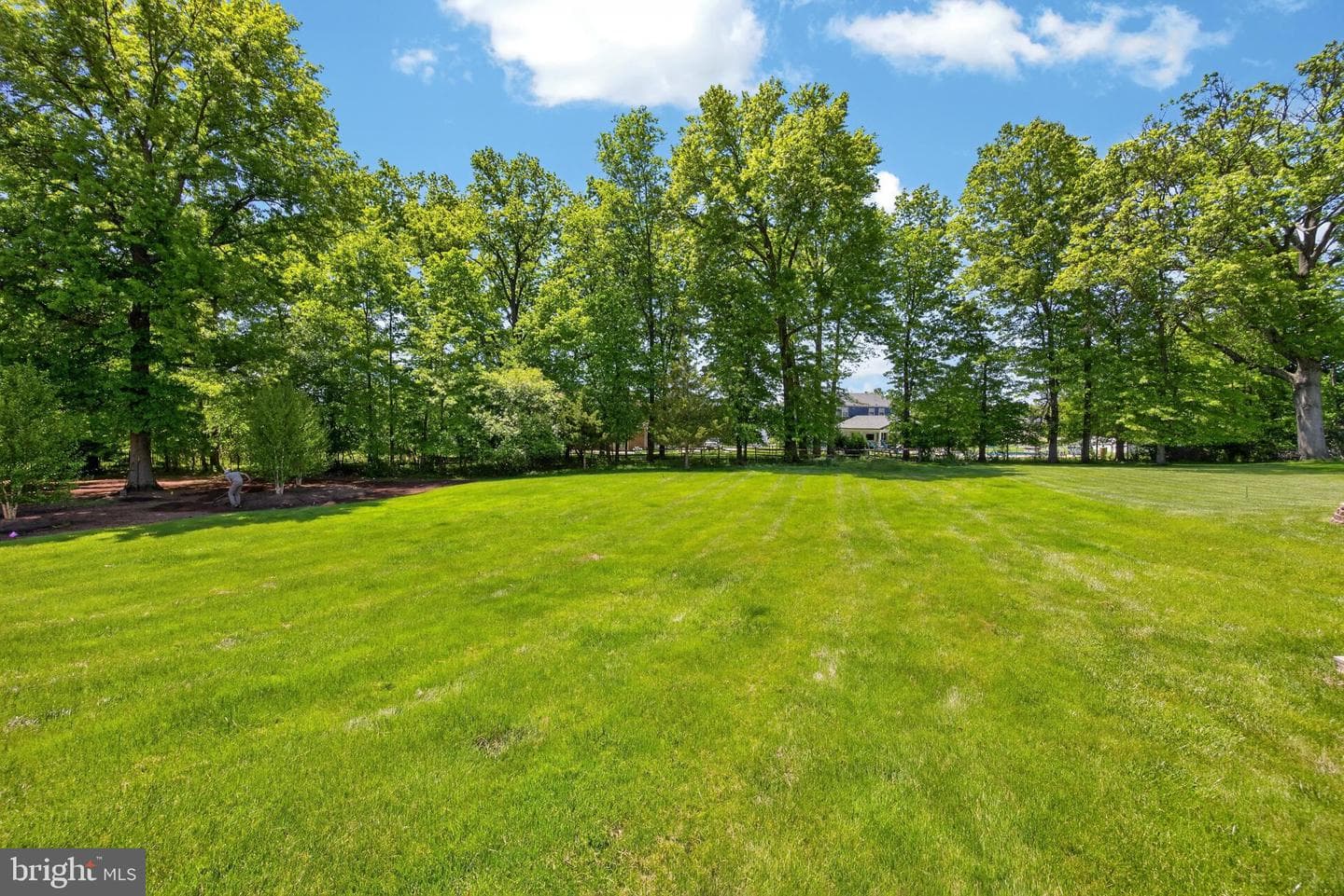 2159 Alexander Drive photo 37