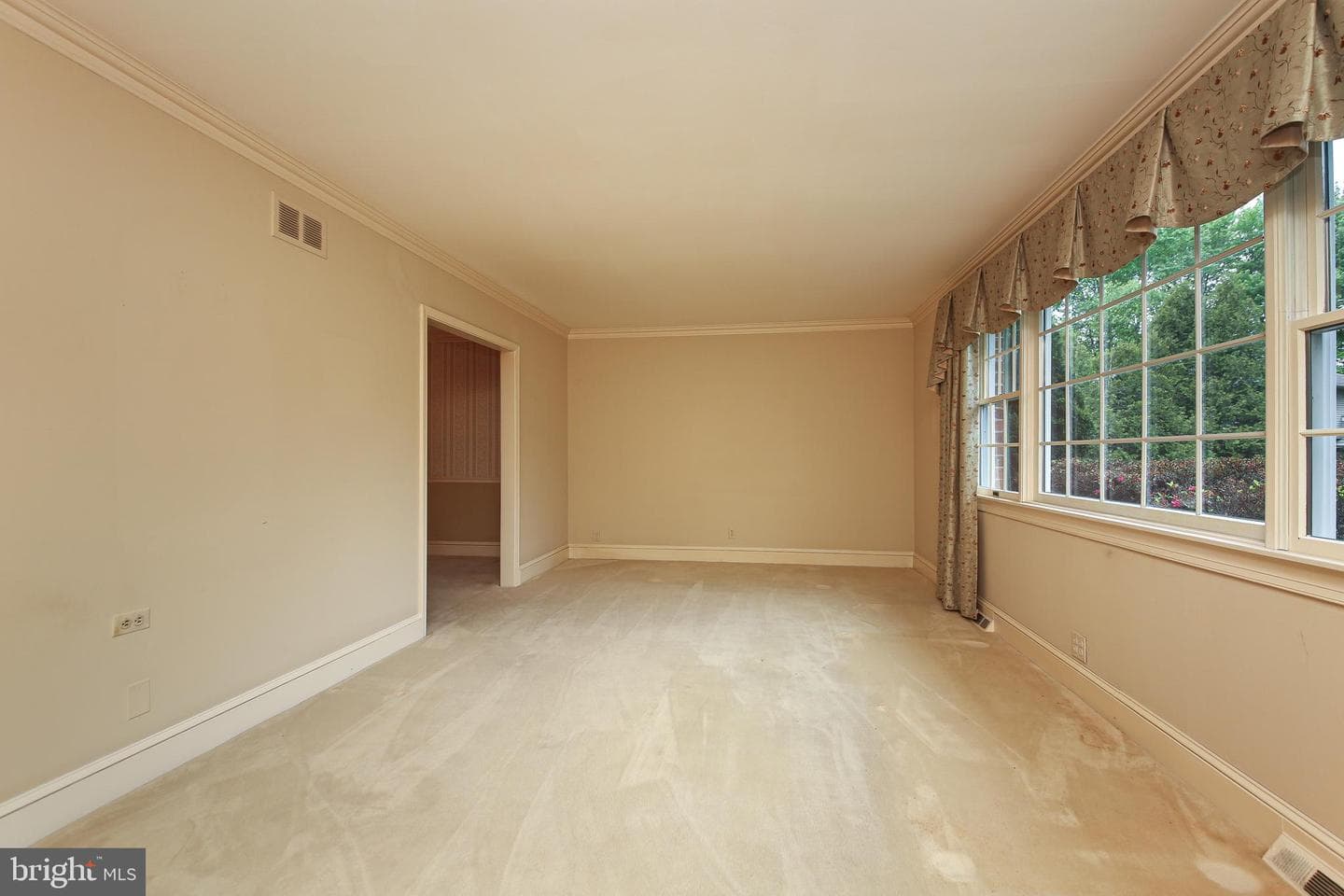 115 Hedgerow Place photo 8