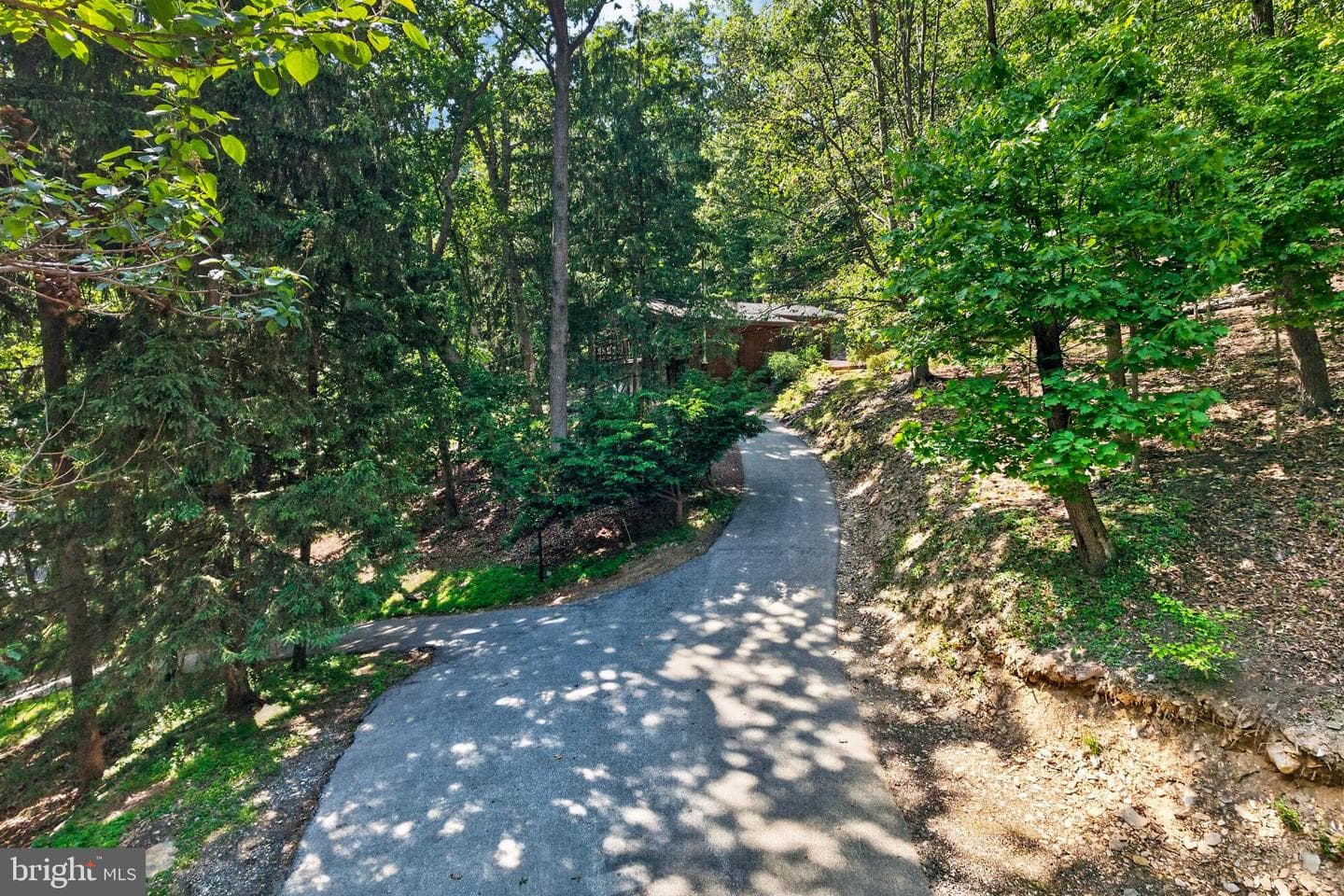 302 Gypsy Lane photo 3