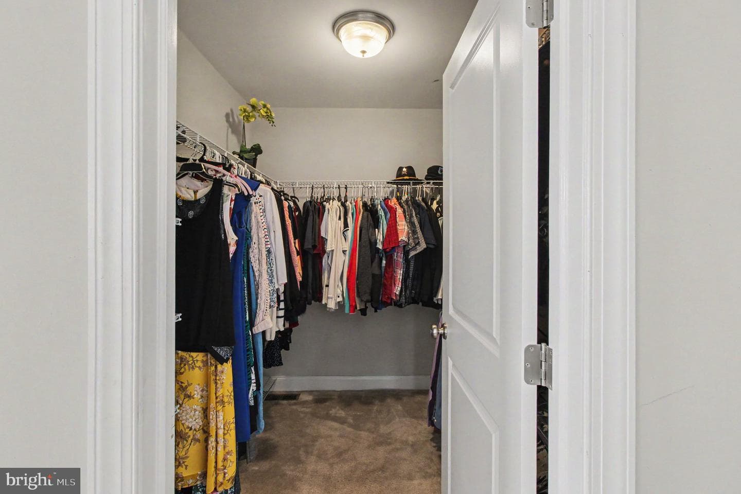 100 Arlington Lane photo 18