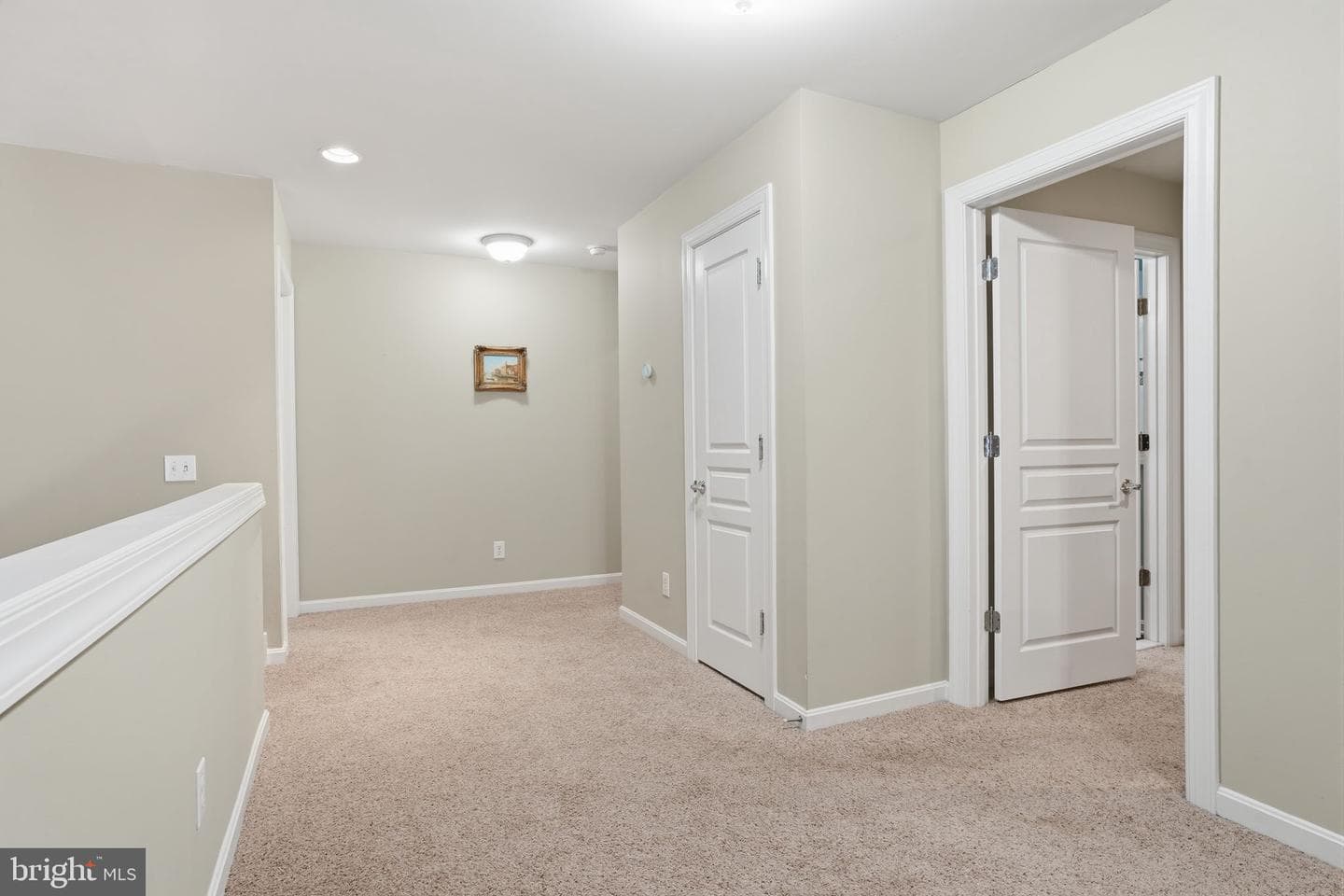 1735 Iron Horse Road photo 27