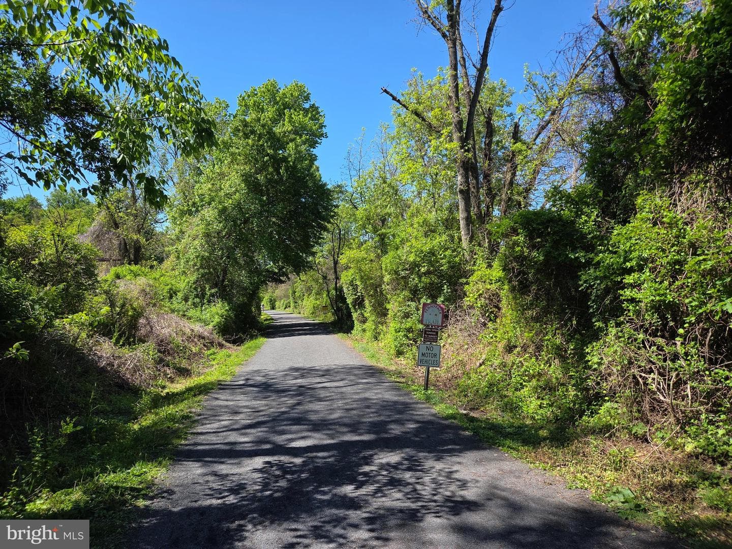 1735 Iron Horse Road photo 43