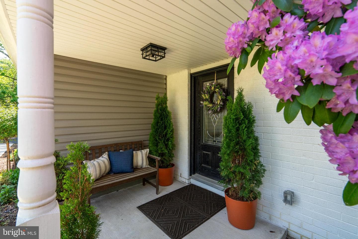 103 Sassafras Drive photo 3