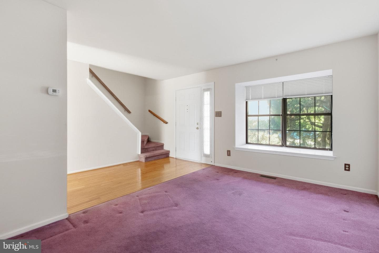 538 Canterbury Road photo 6
