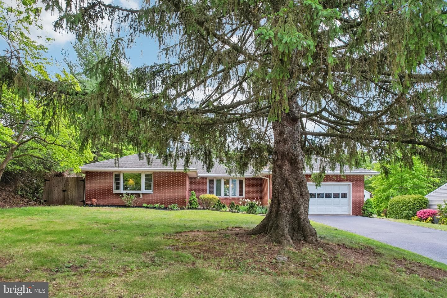630 Oak Street photo 49