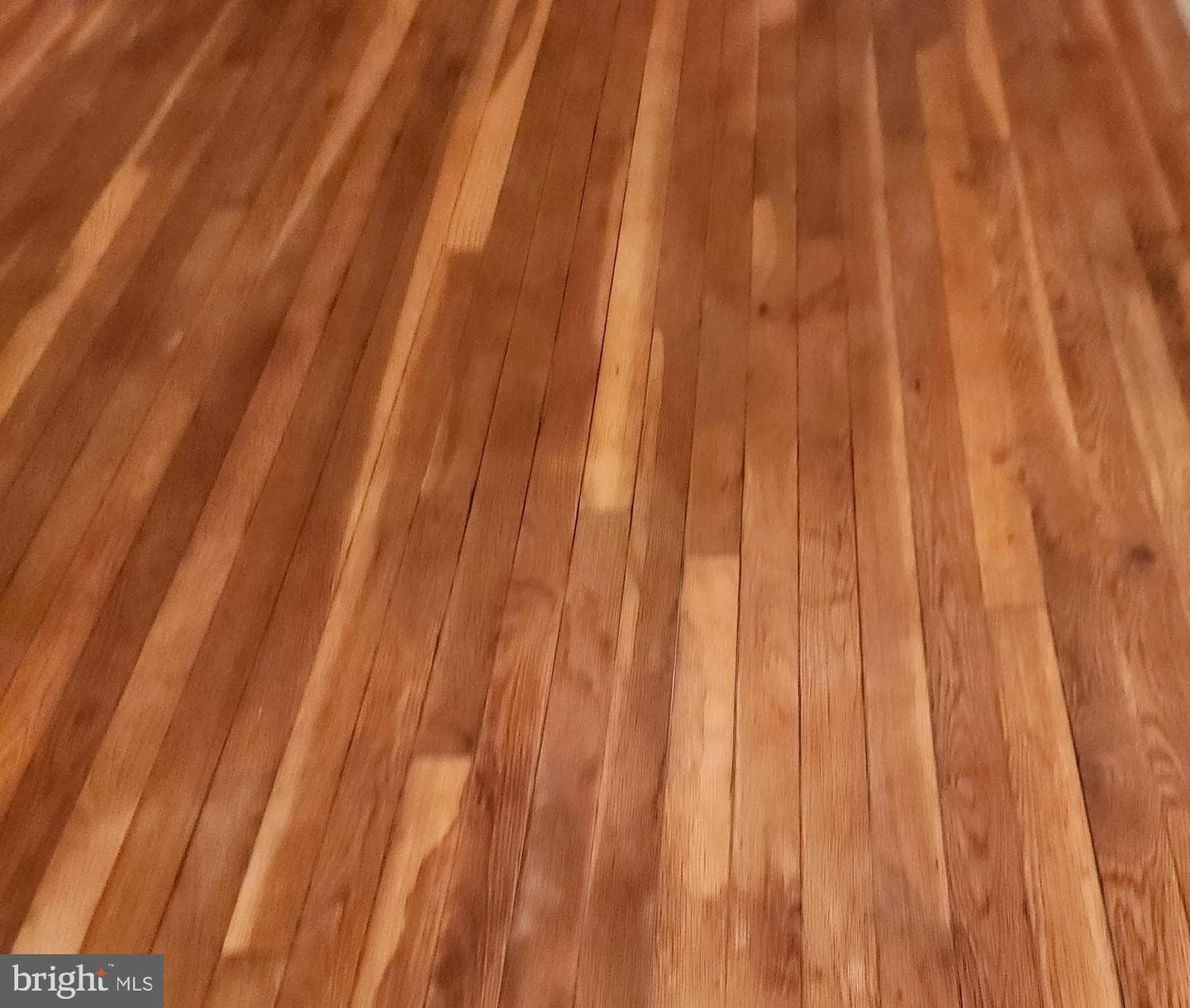 429 S Park Avenue photo 3