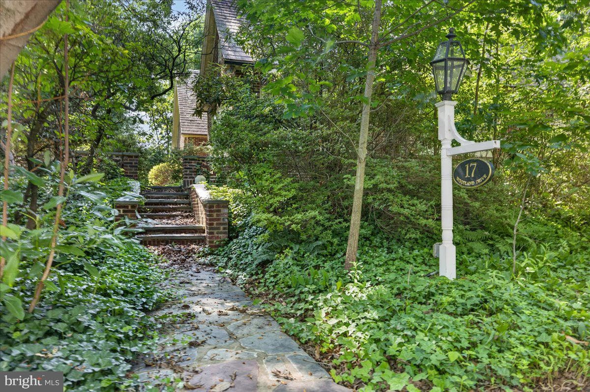 17 Woodland Drive photo 9
